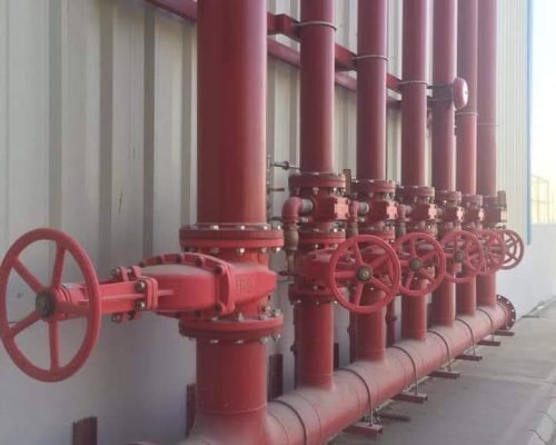 FB_IMG_1597169451642