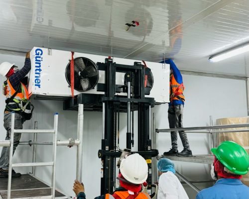 WhatsApp Image 2024-04-20 at 4.07.48 PM