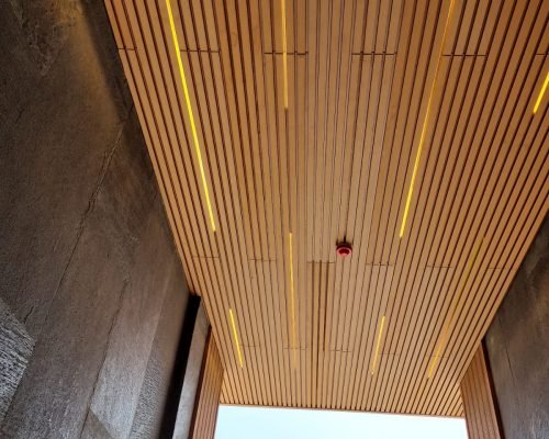 WhatsApp Image 2024-05-16 at 1.59.15 PM