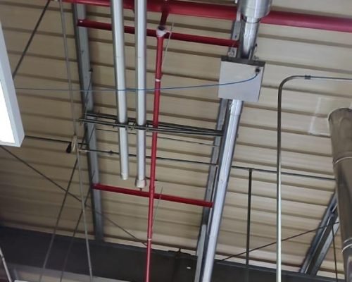 WhatsApp Image 2024-05-16 at 9.36.06 AM (10)