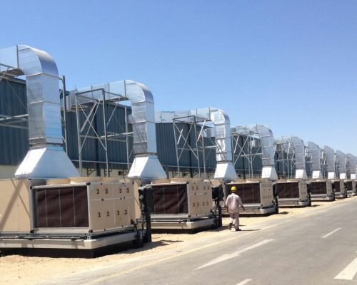 الصورة-المختارة-scaled