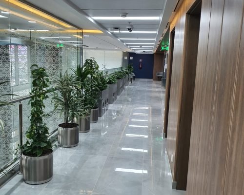 ٢٠٢١٠٥٢٥_١٥٣٤٠٩